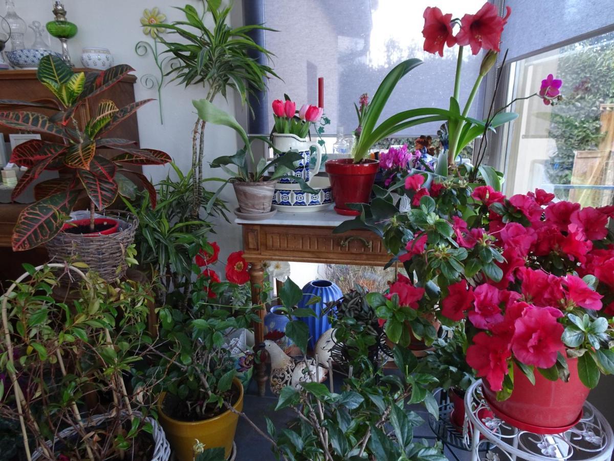 B&B La Maison Des Collines Autour Chambres D'Hotes La Chapelle  エクステリア 写真