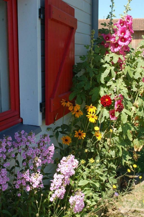 B&B La Maison Des Collines Autour Chambres D'Hotes La Chapelle  エクステリア 写真