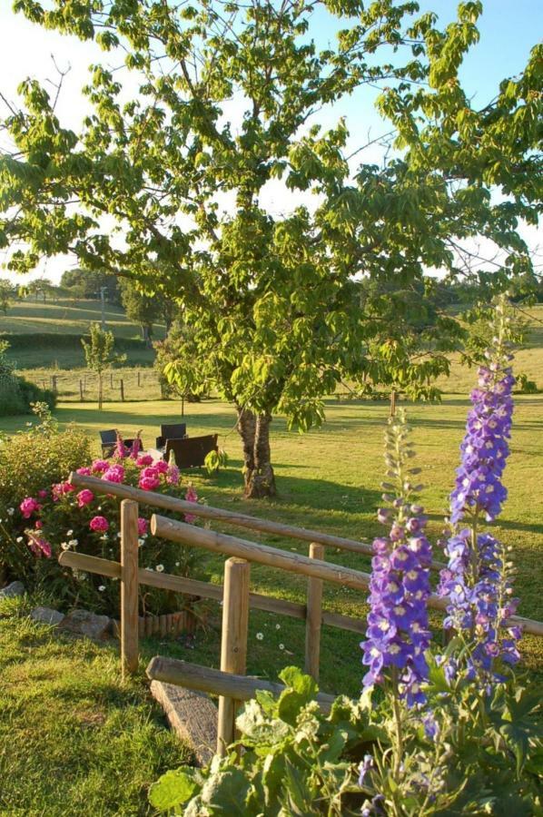 B&B La Maison Des Collines Autour Chambres D'Hotes La Chapelle  エクステリア 写真